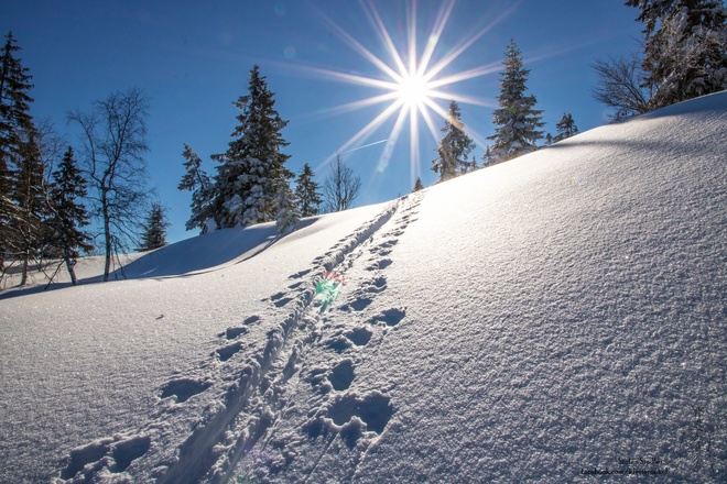 unberührter Powder nach der oberen Hemmersuppenalm
