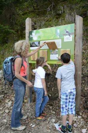 Bergwalderlebnisweg