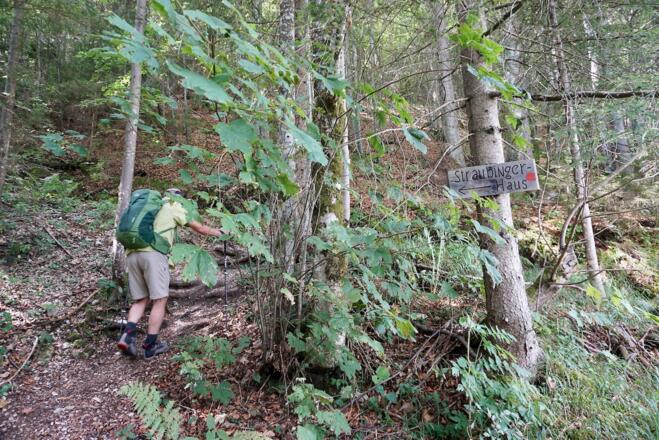 Beginn des Steiges zum Klausenberg nach der Zwerchenbergalm