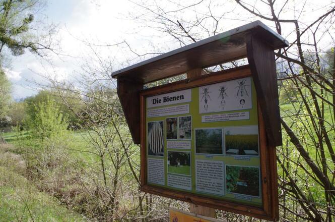 Wasser-Tittmoning-Bienenlehrpfad4