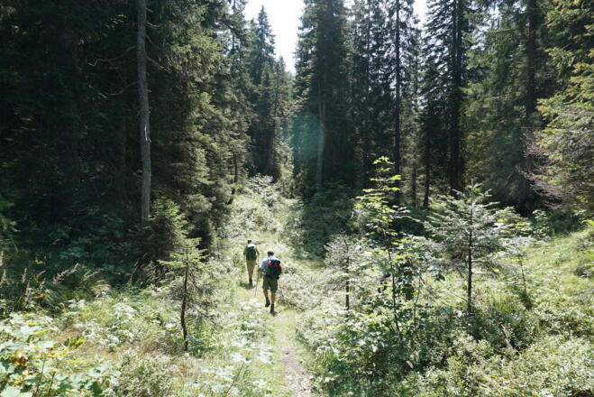 Steig entlang der Klausenberg-Ostseite