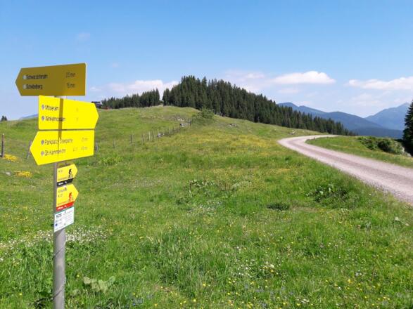 Weg nach der Stallenalm zum Bescheinungssee und Möseralm