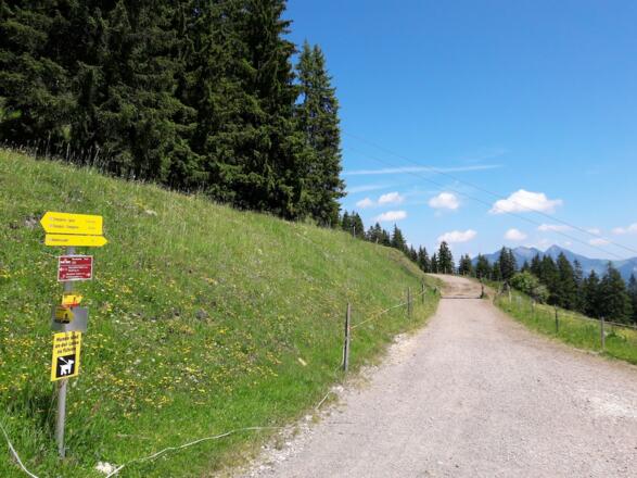 Weg nach der Möseralm