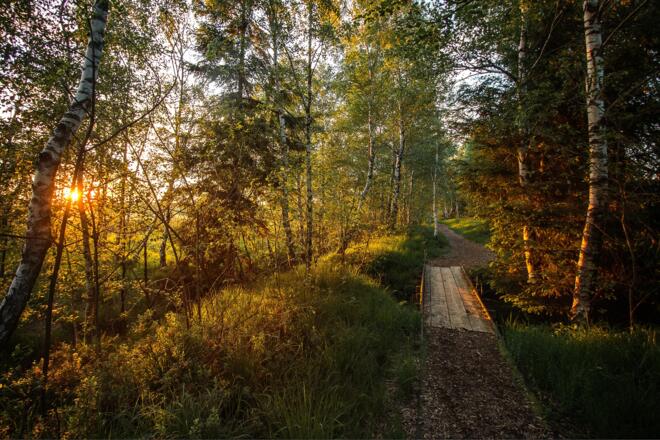 Abend in der Kendlmühlfilze