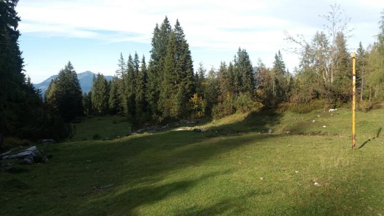Große obere Lichtung mit Weggabelung und mehreren Wegweisern.