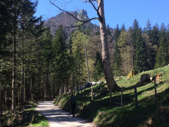 Auf dem Weg zur Hochplatte mit Blick auf den Friedenrath