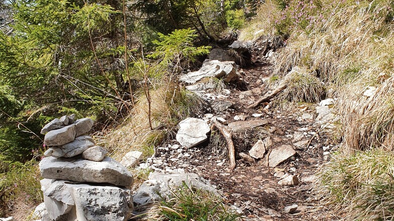 Der Stein zum Inzeller Kienbergl erfordert Trittsicherheit