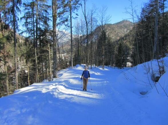Weg kurz oberhalb des PP Seegatterl