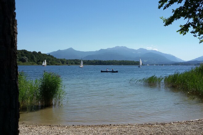 Blick zur Herreninsel von Urfahrn