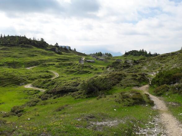 Steig zu den Durchkaseralmen