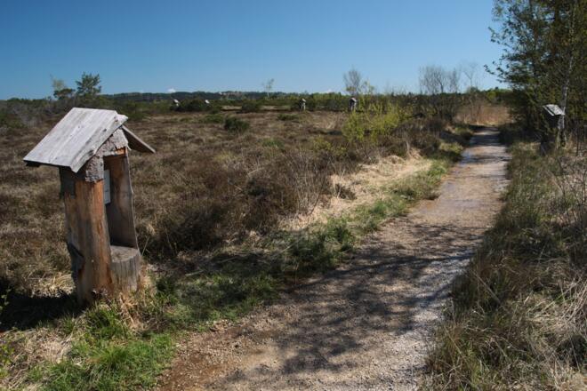 Rätseltafel neben dem Pfad