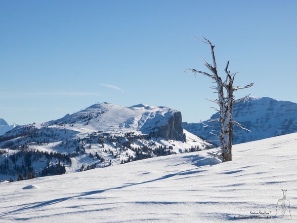 bezaubernde Winterlandschaft
