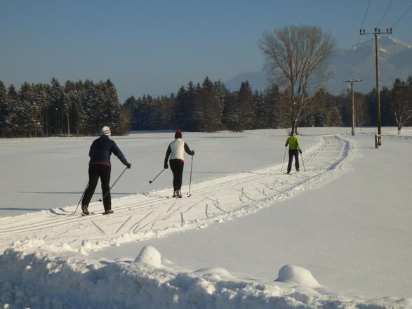 Langlauf in Rottau