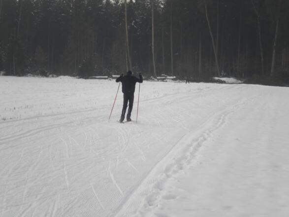 Langlauf in Zellerreit