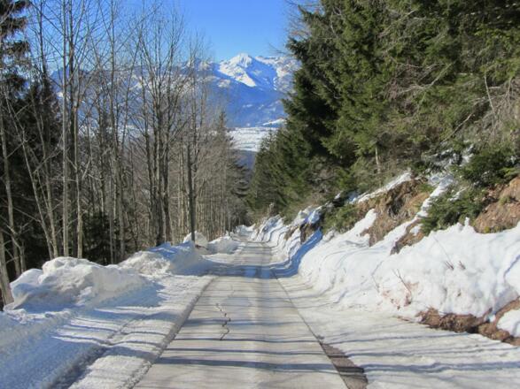 hier gehts bei ausreichendem Schnee mit dem Rodel runter