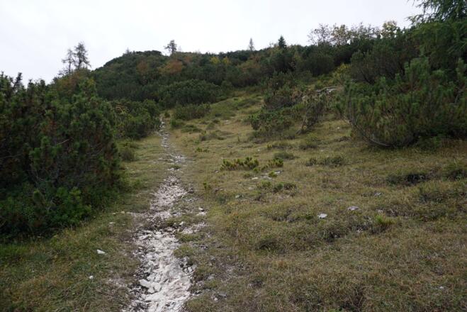 Kurz vor dem Schuhmacherkreuz
