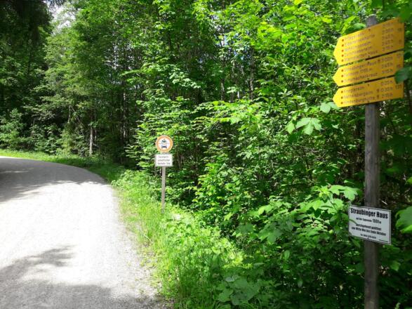 Beginn des Anfangsforstweges