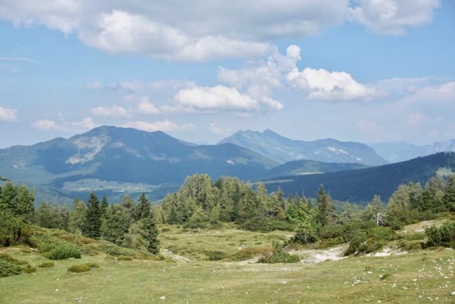 Blick zur Winklmoosalm und Sonntagshorn