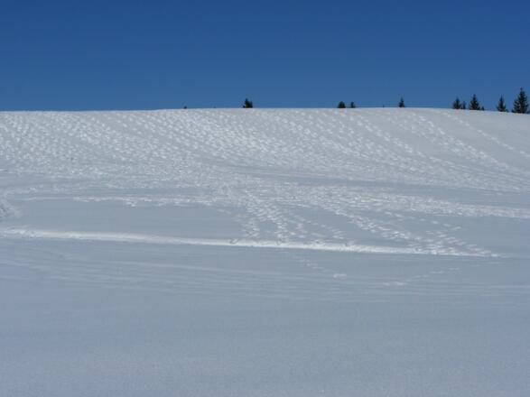 Übungsgelände für Schneeschuhgeher