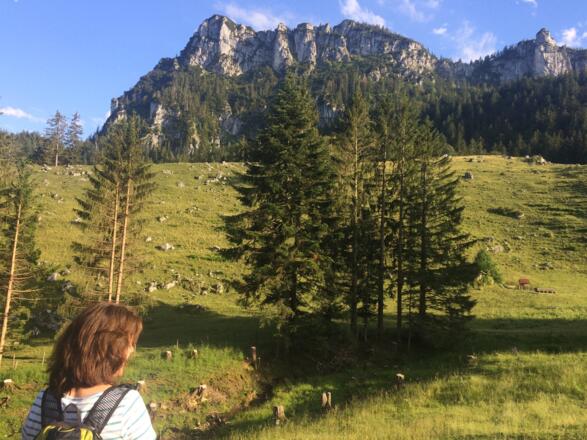 Gedererwand von der Weissenalm aus