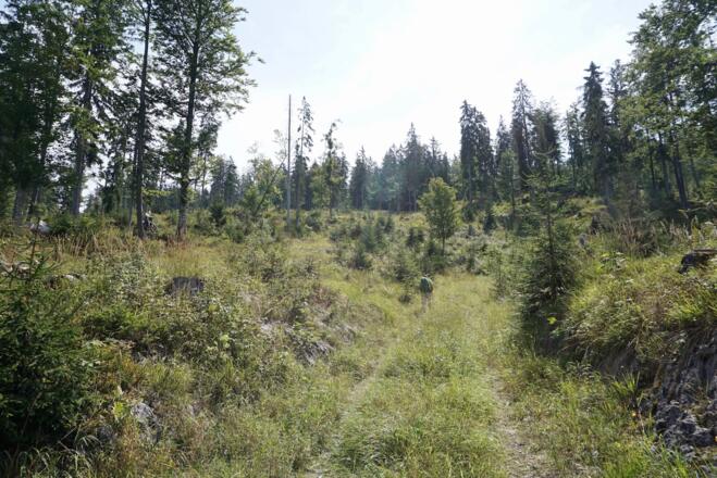 Flacher werdender Weg entlang der Klausenberg-Ostseite