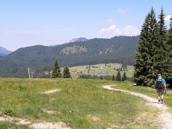 Beginn des Moosweges