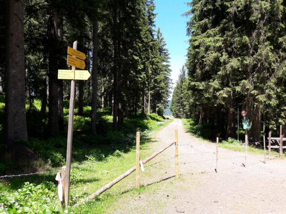 Wegabzweigung links zum Moosweg