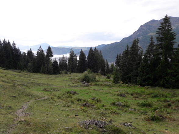 Aussicht zum Kitzbühler Horn und Unterberghorn