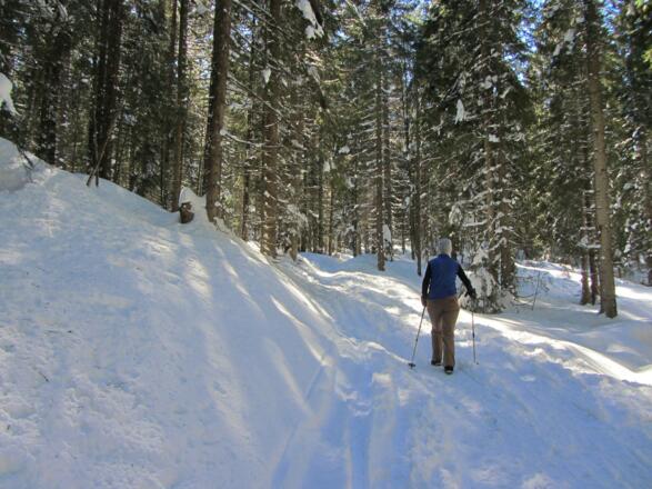 Gut ausgetretene Spur auch auf der Abkürzung