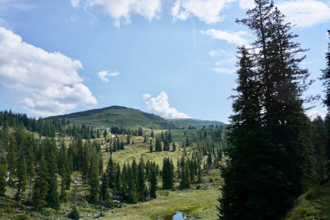 Blick zum Straubinger Haus und Fellhorn