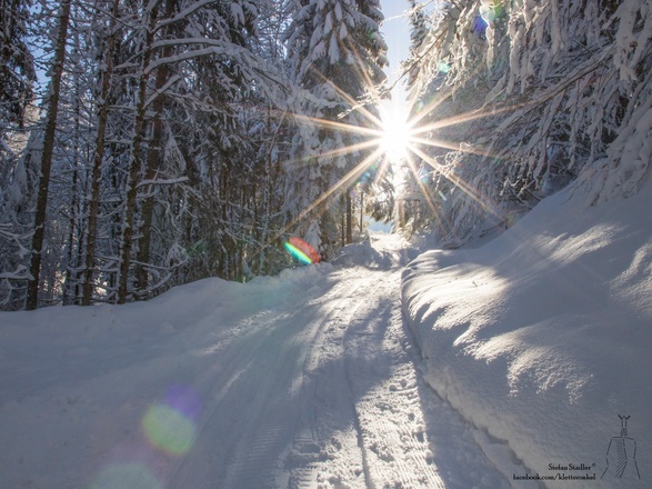 auf der Rodelbahn zur Nattersbergalm