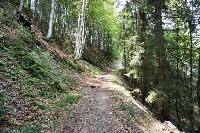 Steig zum Klausenberg