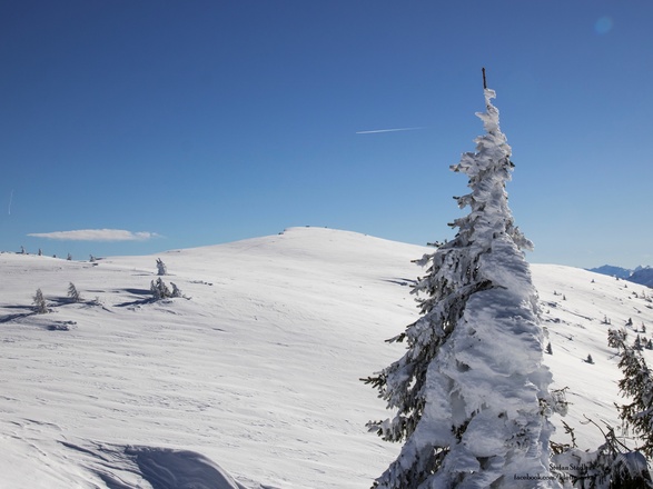 der Flache Gipfel des Fellhorn
