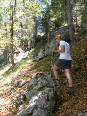 Westflanke Gernkogel