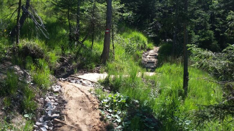 Der neue Weg oberhalb der Reinfalzalm vermeidet sumpfiges Gelände.