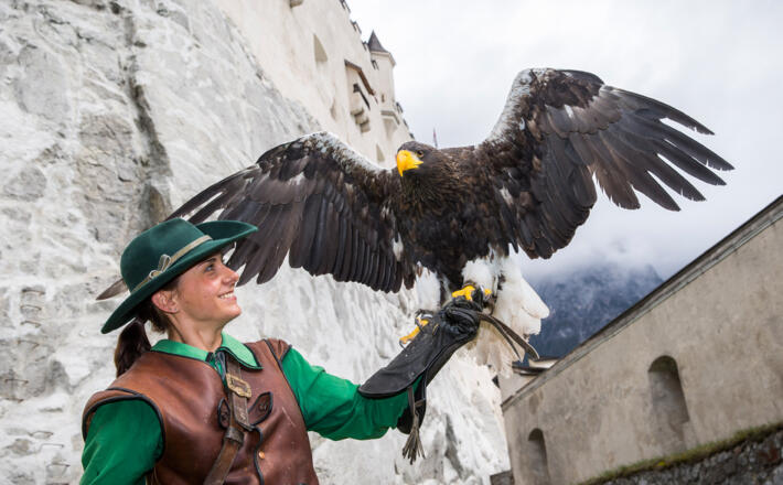 Falknerei auf der Burg Hohenwerfen