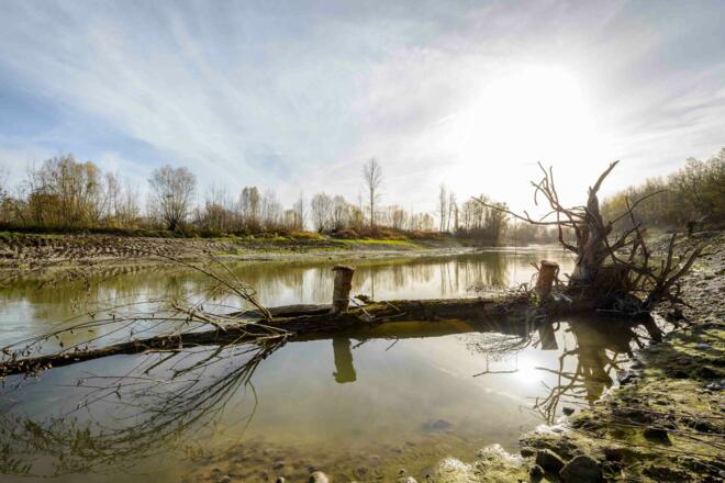 Fischwanderhilfe Ottensheim Wilhering