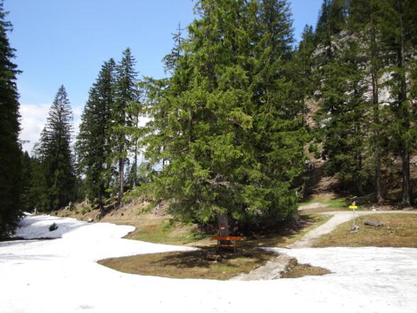 Wegkreuzung kurz unterhalb des Hüttenecks (4. Mai 2012)