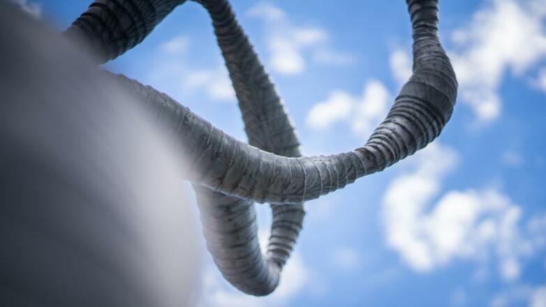 Werk von Alois Schild Himmel