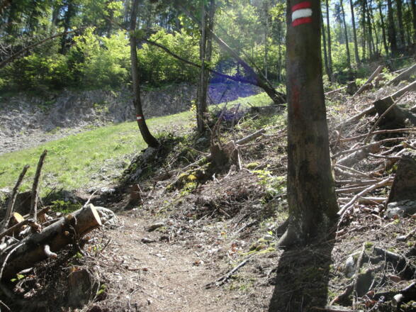 Die Wege sind sehr gut markiert