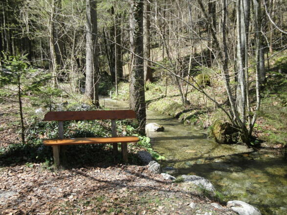 Nach wenigen Minuten passieren wir einen kristallklaren Bach