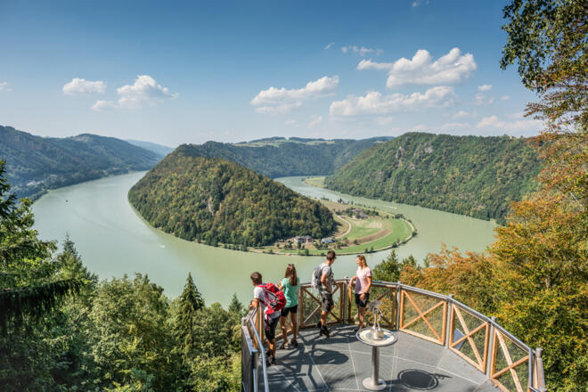 Donausteig - Schlögener Schlinge mit Römerkopf © WGD Donau Oberösterreich Tourismus GmbH/Hochhauser