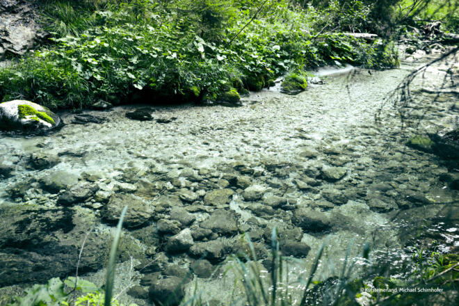 Glemmbachklamm Thiersee Region Kufsteinerland