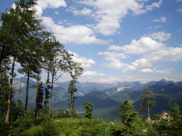 Beim Abstieg über den &quot;Windengraben&quot;