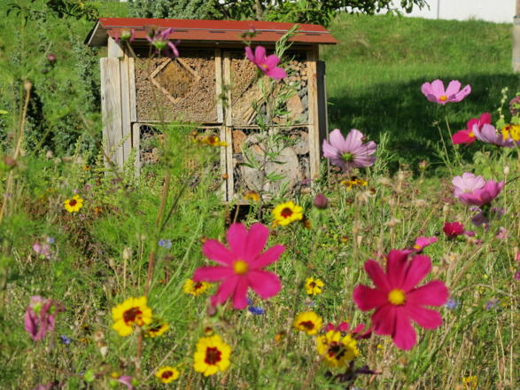 Kräutergarten an der Jungholzer Kirche