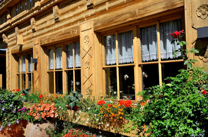 Blumenpracht beim Samer Matzen