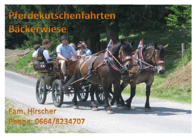 Peter Hirscher Pferdekutschenausfahrten