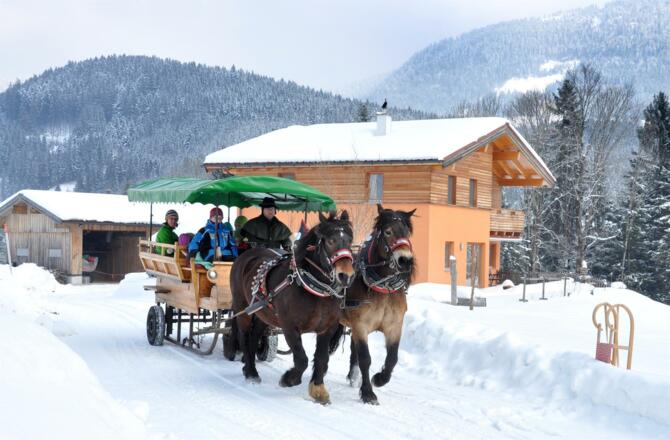 Pferdeschlittenfahrt Peter Hirscher