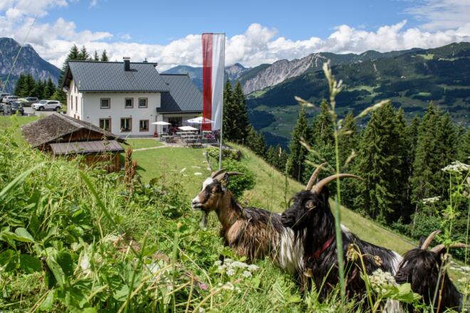 Berggasthof Grabs im Sommer