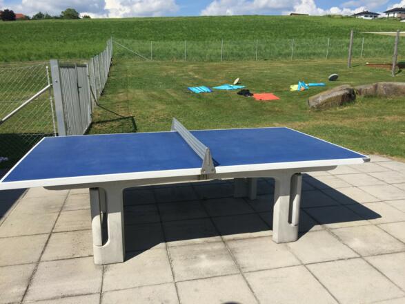 Tischtennistisch